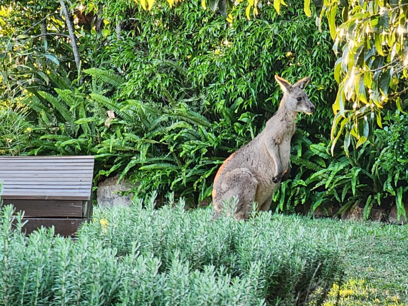 What to Do When a Loved One Passes. A Practical Guide on the Fraser Coast